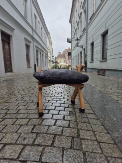 Koziołek czarny - 2